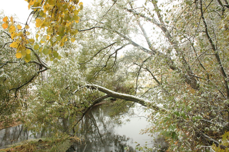 IMG_0797.jpg1.jpg"%20height="533"%20width="800